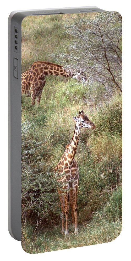 Africa Portable Battery Charger featuring the photograph Two Giraffes Looking 4 Food by Russel Considine