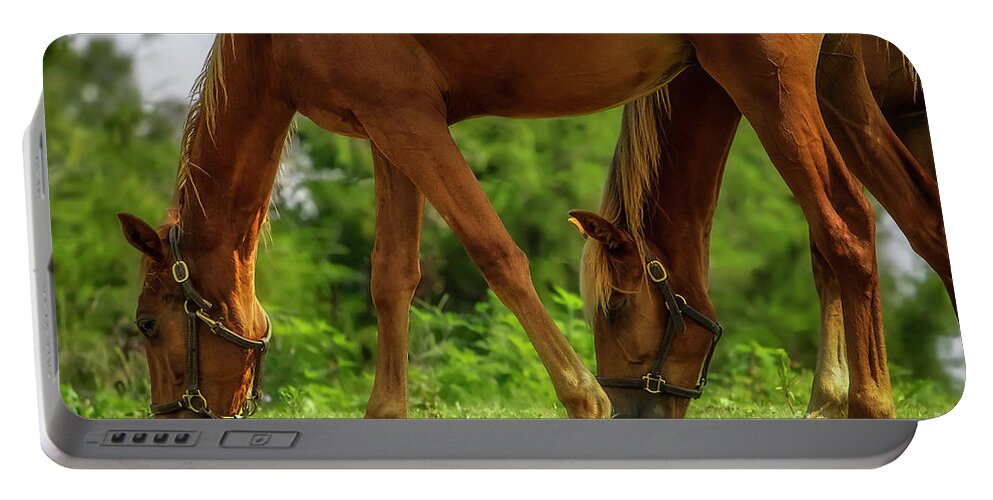 Horse Portable Battery Charger featuring the photograph Two heads are better than one... by Shelia Hunt