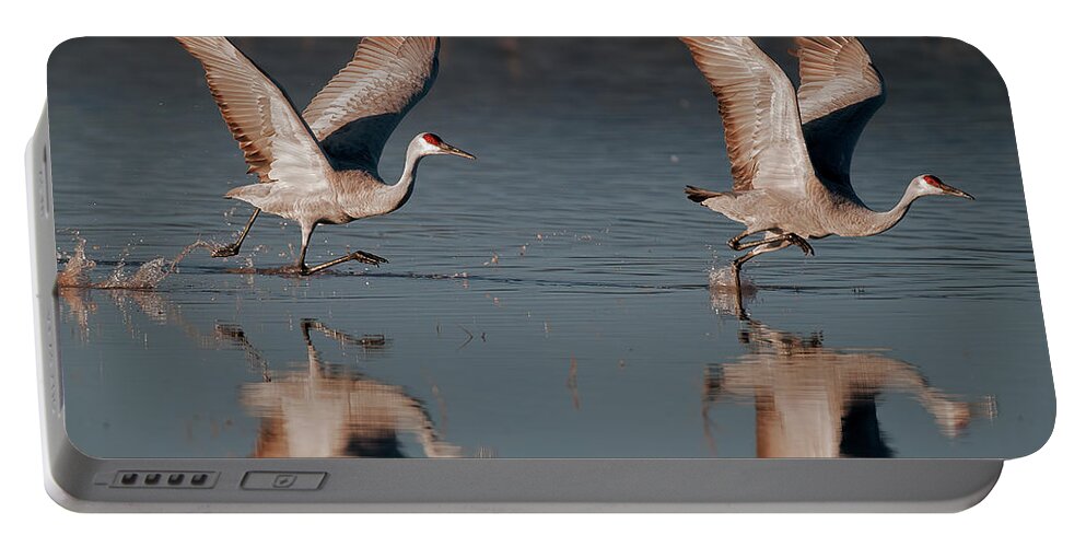 Sandhill Portable Battery Charger featuring the photograph Two Sandhill Crane taking off sunrise by Gary Langley