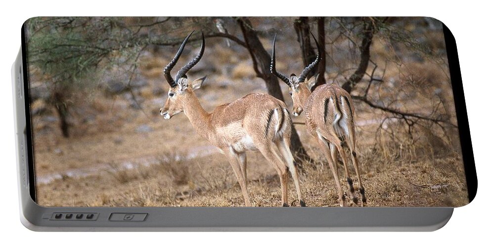 Africa Portable Battery Charger featuring the photograph Two Shy Impala by Russel Considine