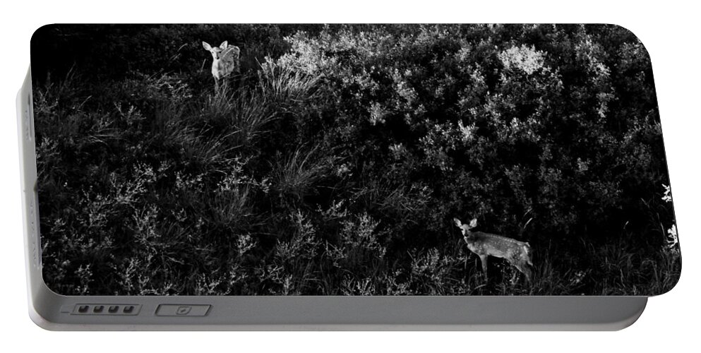White Tail Deer Portable Battery Charger featuring the photograph Two White Tail Fawns by Amanda R Wright