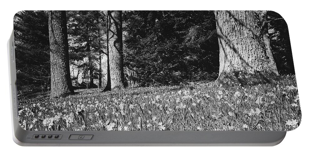 Finland Portable Battery Charger featuring the photograph Under the naked oaks bw by Jouko Lehto