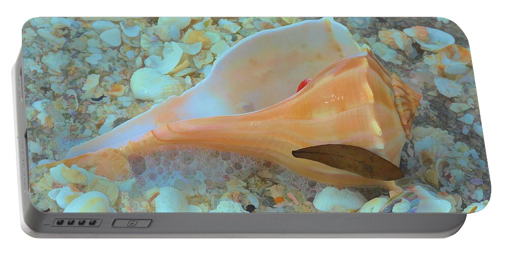 Conch Shell Portable Battery Charger featuring the photograph Underwater by Alison Belsan Horton