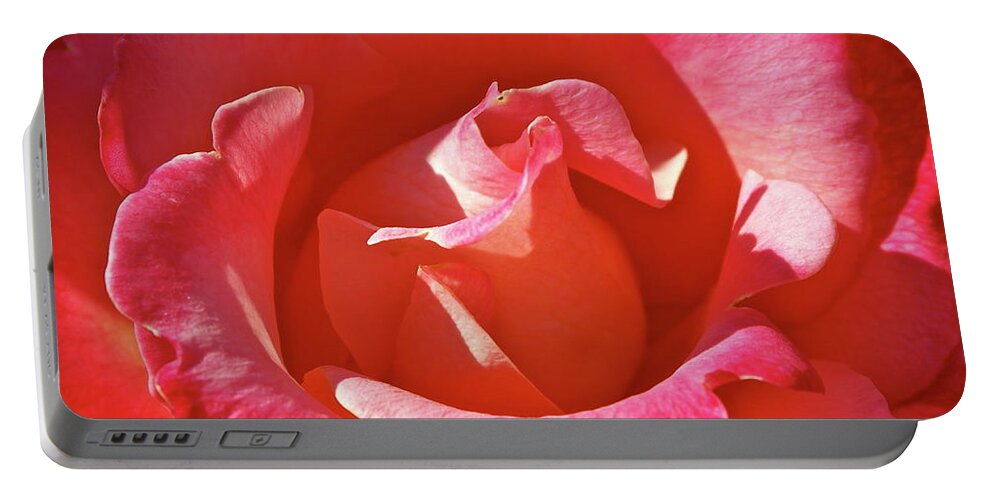 Rose Portable Battery Charger featuring the photograph Unfurling by Michele Myers