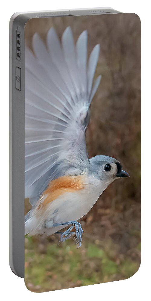 Titmouse Portable Battery Charger featuring the photograph Up and Away by Sylvia Goldkranz
