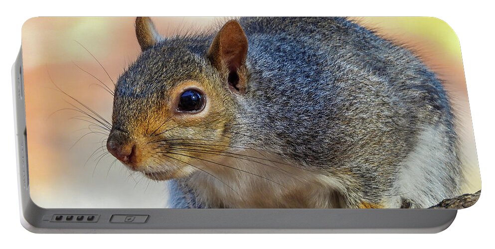 Squirrel Portable Battery Charger featuring the photograph Up Close by Cathy Kovarik