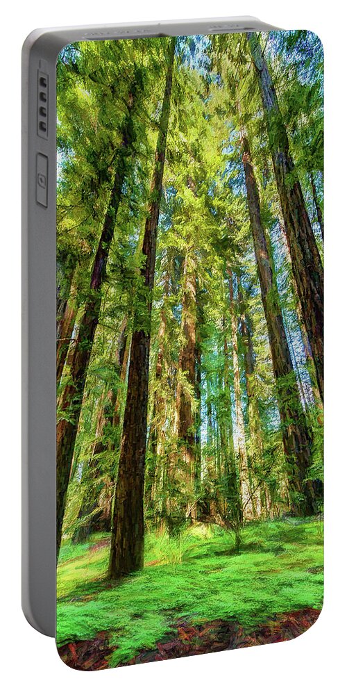 California Portable Battery Charger featuring the photograph Up Into the California Redwoods ap 120 by Dan Carmichael