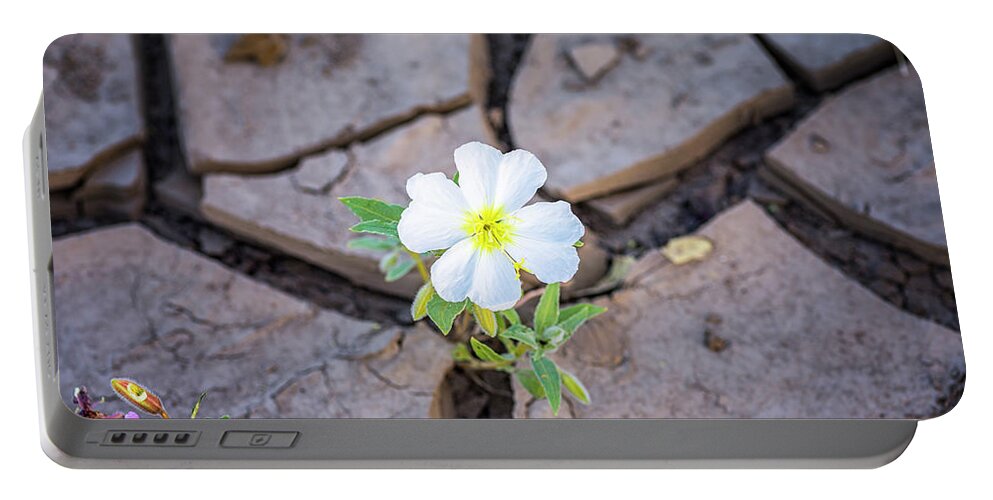 Flower Portable Battery Charger featuring the photograph Pretty Flower Up Through The Cracks by Joseph S Giacalone