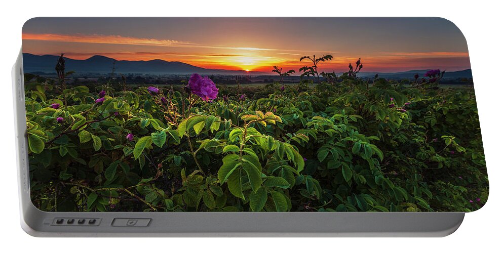 Bulgaria Portable Battery Charger featuring the photograph Valley of Roses by Evgeni Dinev