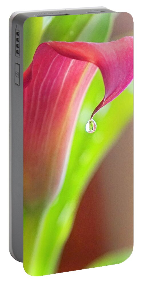 Flower Portable Battery Charger featuring the photograph Van Zyverden Callas Lily Pink Jewel by Bill TALICH