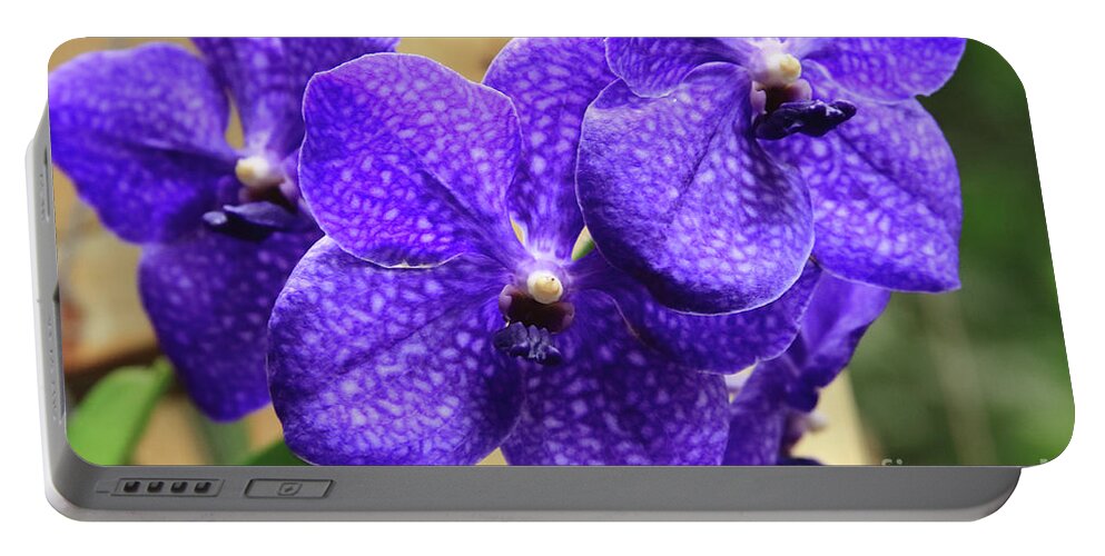 China Portable Battery Charger featuring the photograph Vanda Orchid II by Tanya Owens