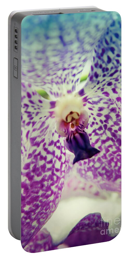 Singapore Portable Battery Charger featuring the photograph Vanda Orchid in Blue by Tanya Owens