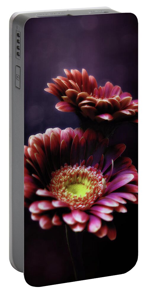 Flower Portable Battery Charger featuring the photograph Velvet Light Bestows by Bill and Linda Tiepelman