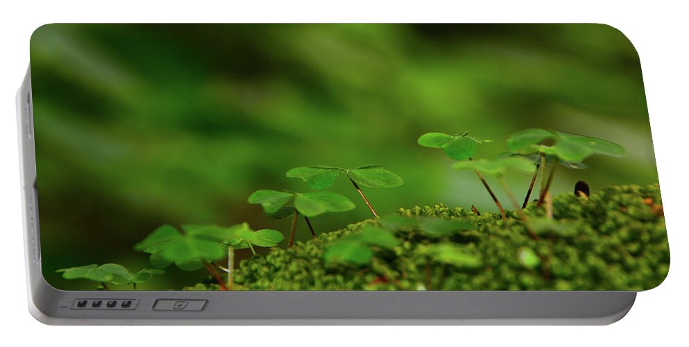 Vermont Spring Green Portable Battery Charger featuring the photograph Vermont Spring Green by Raymond Salani III