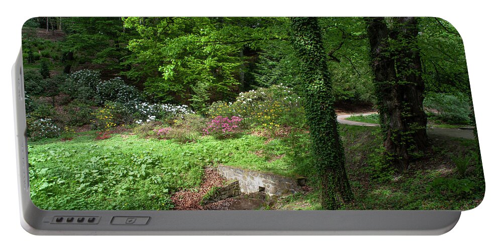 Jenny Rainbow Fine Art Photography Portable Battery Charger featuring the photograph Vibrant Greens of Spring by Jenny Rainbow