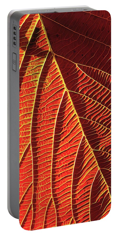 Nature Portable Battery Charger featuring the digital art Vibrant Viburnum by ABeautifulSky Photography by Bill Caldwell