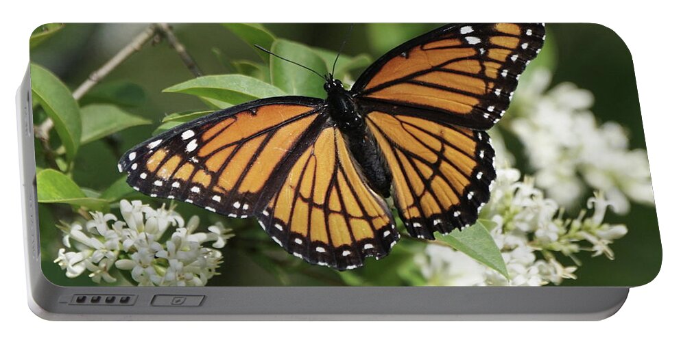 Viceroy Butterfly Portable Battery Charger featuring the photograph Viceroy Butterfly on Privet Flowers by Robert E Alter