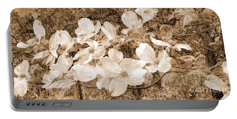 Texas Park Portable Battery Charger featuring the painting View Beyond Dogwood-flowering dogwood sepia tone by Hailey E Herrera