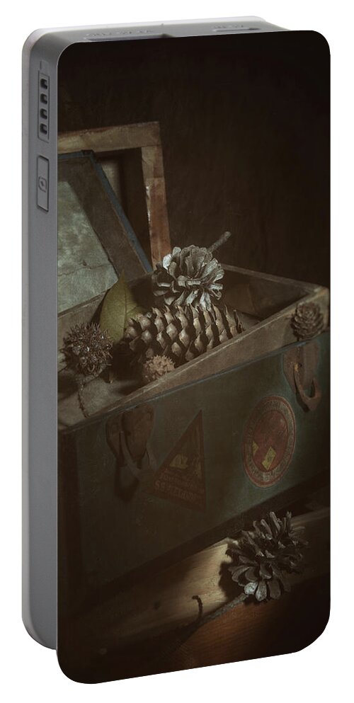 Pine Cone Portable Battery Charger featuring the photograph Vintage Chest with Pine Cones by Tom Mc Nemar