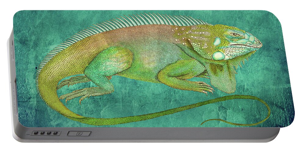 Iguana Portable Battery Charger featuring the mixed media Vintage Iguana Drawing on Textured Background by Lorena Cassady