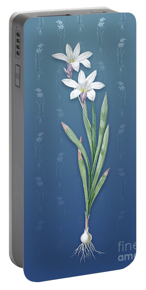 Vintage Portable Battery Charger featuring the mixed media Vintage Ixia Liliago Botanical Art on Bahama Blue Pattern n.1347 by Holy Rock Design