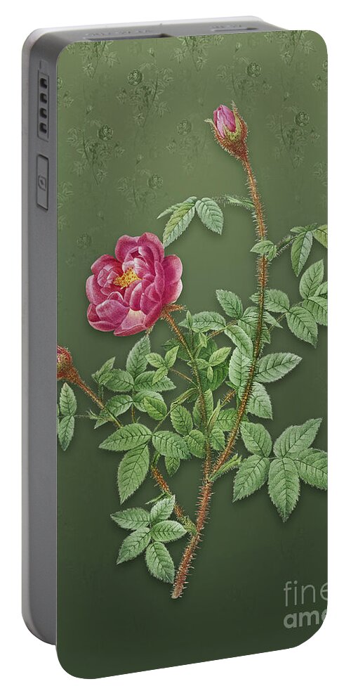 Vintage Portable Battery Charger featuring the mixed media Vintage Moss Rose Botanical Art on Lunar Green Pattern n.1135 by Holy Rock Design