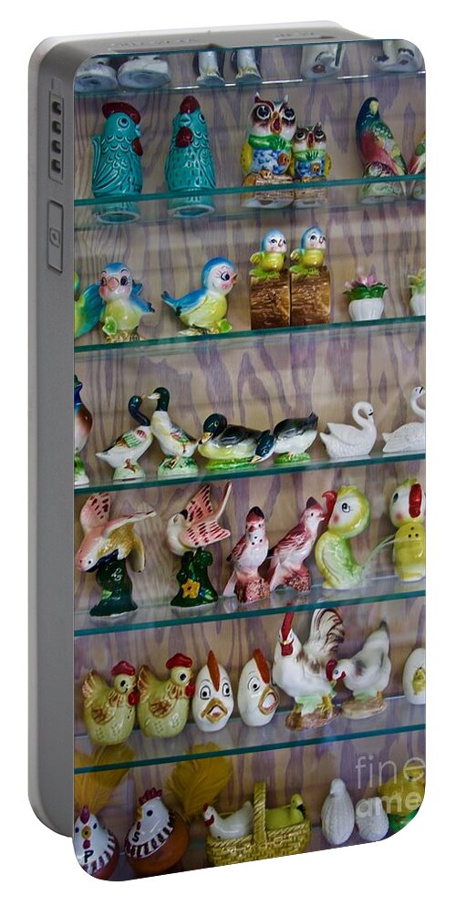 Birds Portable Battery Charger featuring the photograph Vintage Salt and Pepper by Linda Bianic
