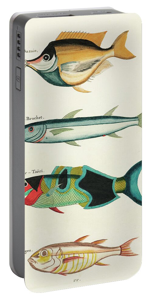 Fish Portable Battery Charger featuring the digital art Vintage, Whimsical Fish and Marine Life Illustration by Louis Renard - Bazuin, Allualu Brochet by Louis Renard