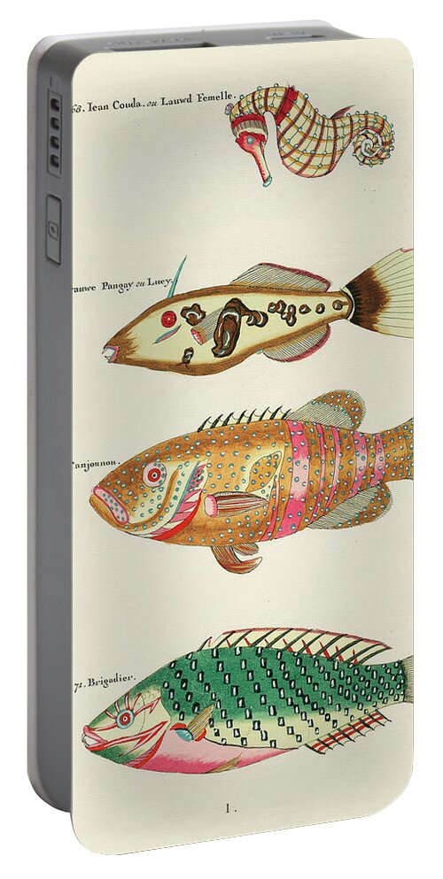 Fish Portable Battery Charger featuring the digital art Vintage, Whimsical Fish and Marine Life Illustration by Louis Renard - Ican Couda, Canjounou by Louis Renard