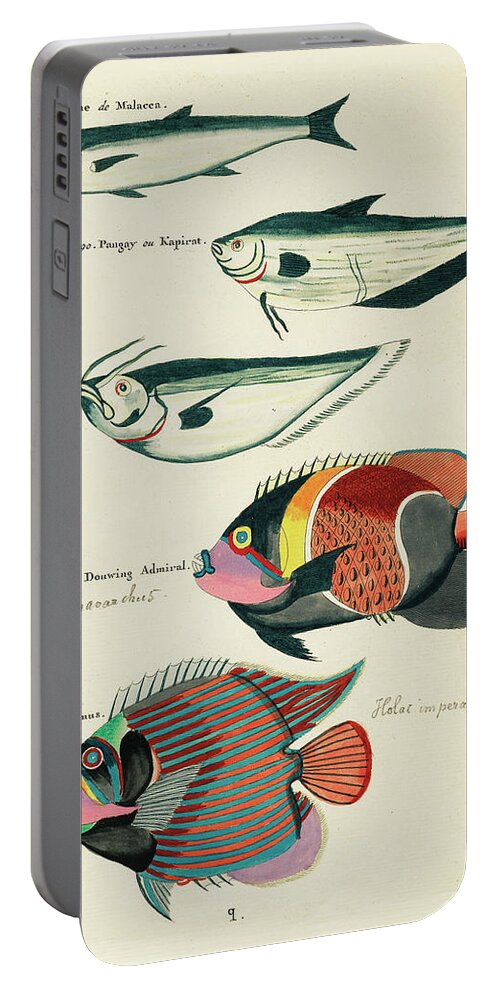 Fish Portable Battery Charger featuring the digital art Vintage, Whimsical Fish and Marine Life Illustration by Louis Renard - Sardine, Douwing Admiral by Louis Renard