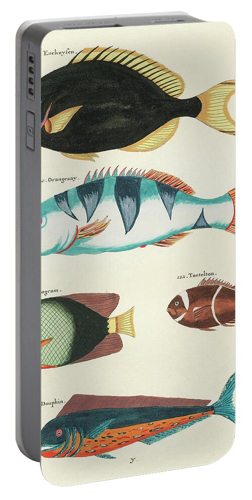 Fish Portable Battery Charger featuring the digital art Vintage, Whimsical Fish and Marine Life Illustration by Louis Renard - Tontelton, Dorado Fish by Louis Renard