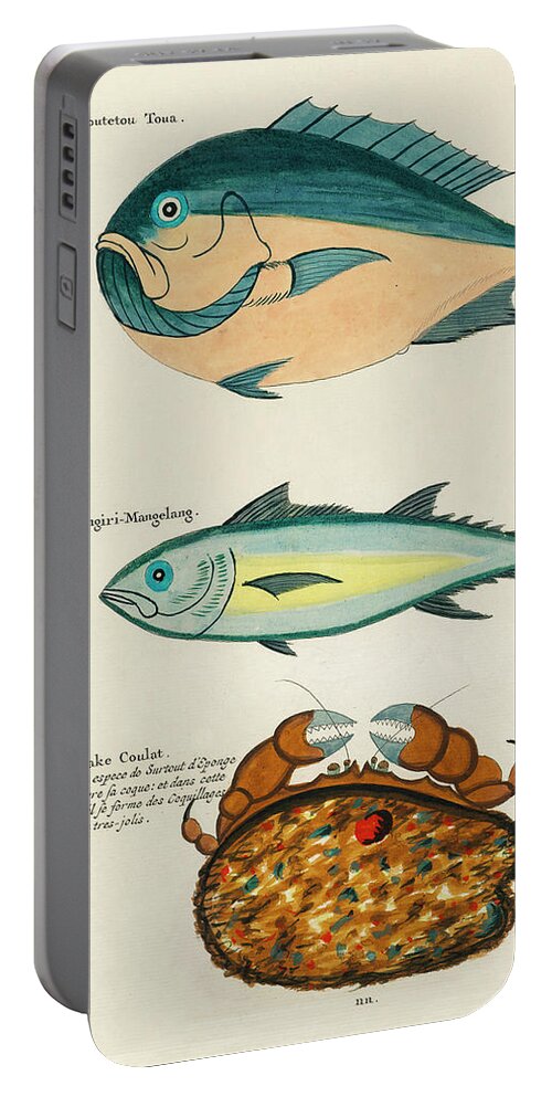 Fish Portable Battery Charger featuring the digital art Vintage, Whimsical Fish and Marine Life Illustration by Louis Renard - Toutetou Toua, Crake Coulat by Louis Renard