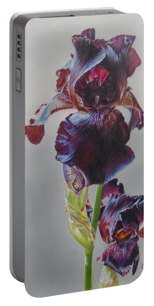 Floral Portable Battery Charger featuring the drawing Violet Iris by Kelly Speros
