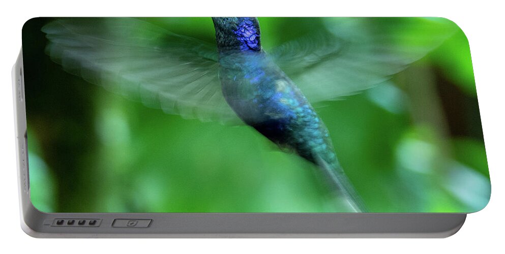 Bird Portable Battery Charger featuring the photograph Violet Sawbrewing Hummingbird by Leslie Struxness