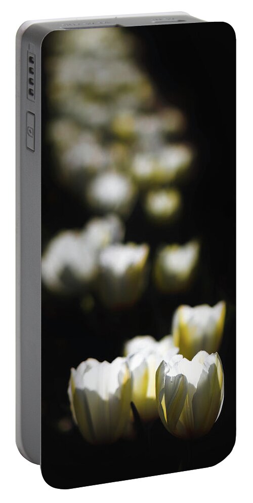 Flowers Portable Battery Charger featuring the photograph Votive by Laura Roberts