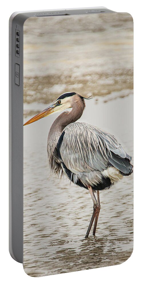 Great Blue Heron Portable Battery Charger featuring the photograph Wading Great Blue Heron by Kristia Adams