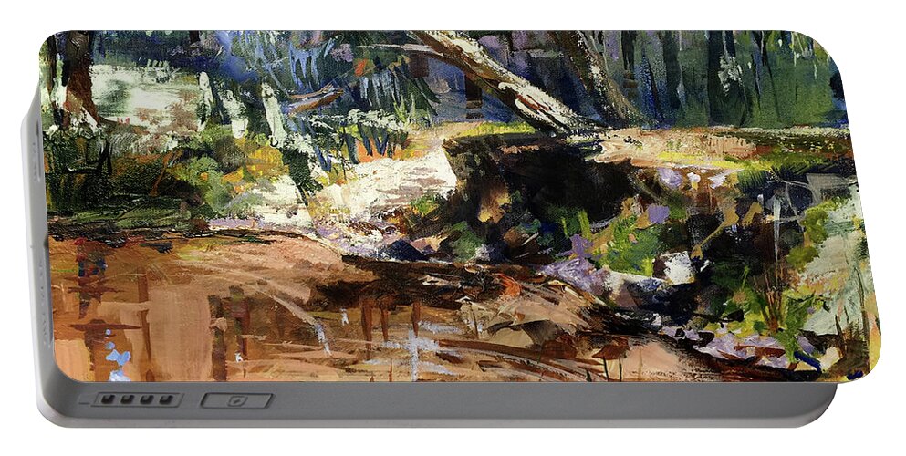 Dam Portable Battery Charger featuring the painting Waiting For Rain by Shirley Peters