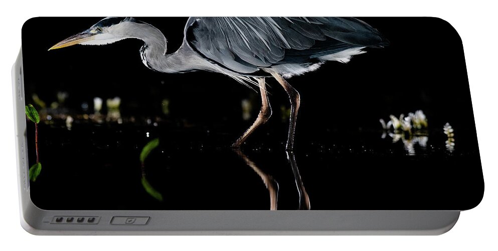 Grey Heron Portable Battery Charger featuring the photograph Walking Heron by Mark Hunter