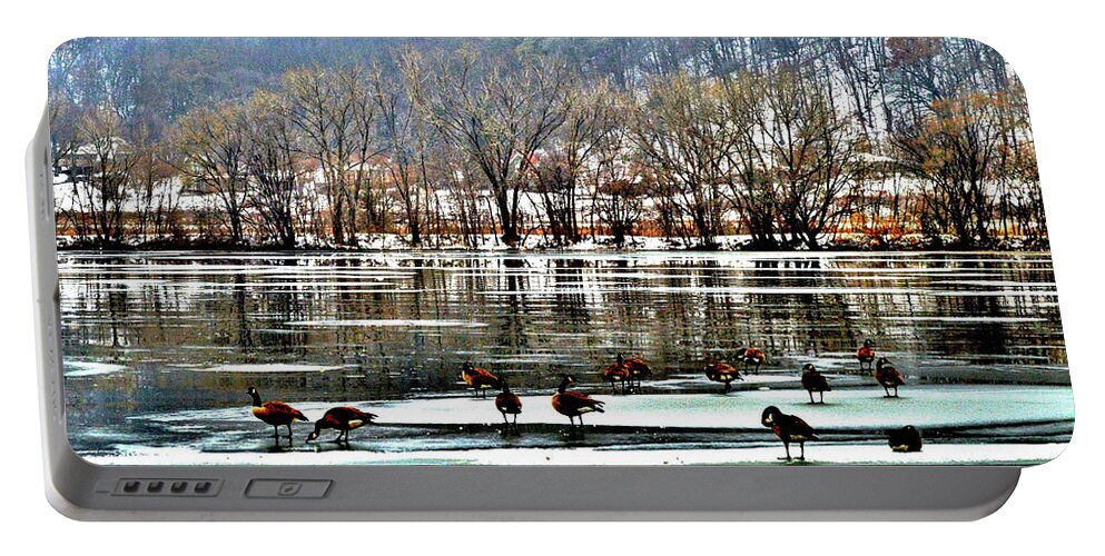 Geese Portable Battery Charger featuring the photograph Walking on Water by Susie Loechler