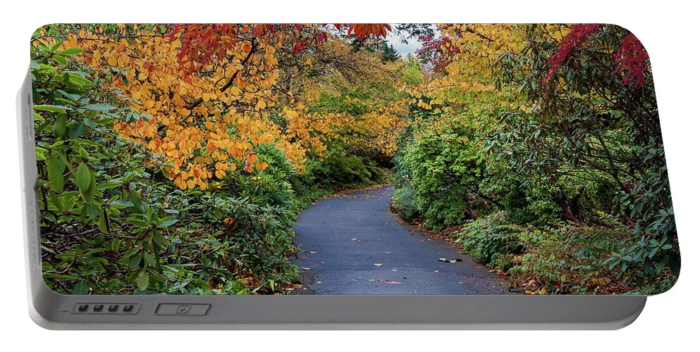 Alex Lyubar Portable Battery Charger featuring the photograph Walking path through the autumn park by Alex Lyubar