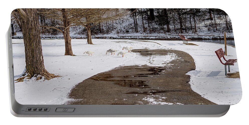 Snow Portable Battery Charger featuring the photograph Wandering Geese by Jennifer White
