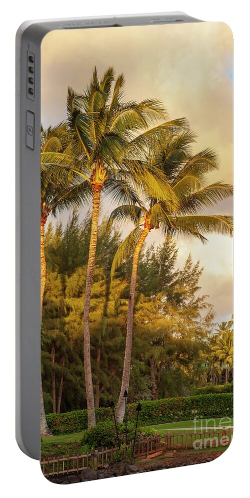 Tropical Portable Battery Charger featuring the photograph Warm Calling by Roselynne Broussard