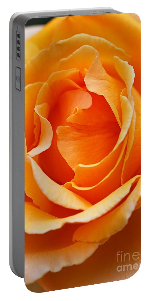 Orange Rose Portable Battery Charger featuring the photograph Warm Orange Full Rose by Joy Watson