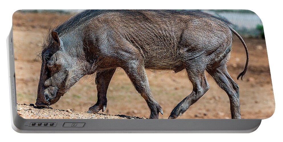  Portable Battery Charger featuring the photograph Warthog by Al Judge