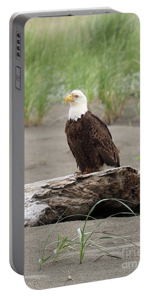 Bald Eagle Portable Battery Charger featuring the photograph Washington Beach Bald Eagle by Carol Groenen