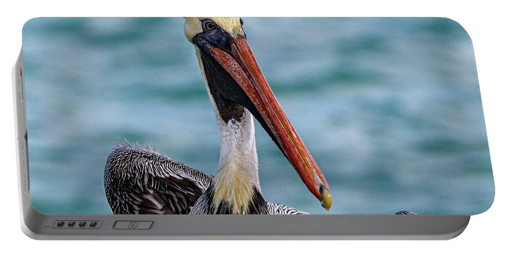 Bird Portable Battery Charger featuring the photograph Watch Out by Les Greenwood