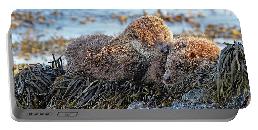 Otter Portable Battery Charger featuring the photograph Watching The Tide Come In by Pete Walkden