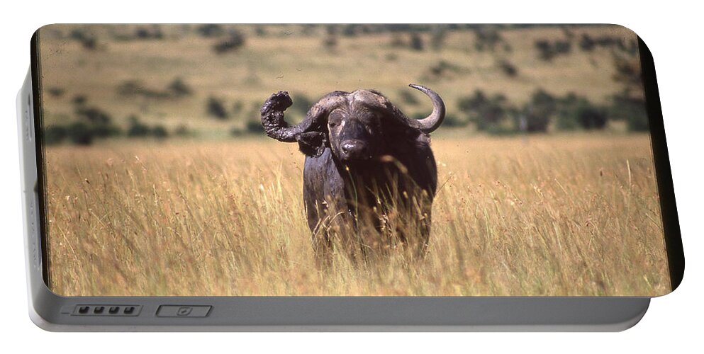 Africa Portable Battery Charger featuring the photograph Water Buffalo in Field by Russel Considine