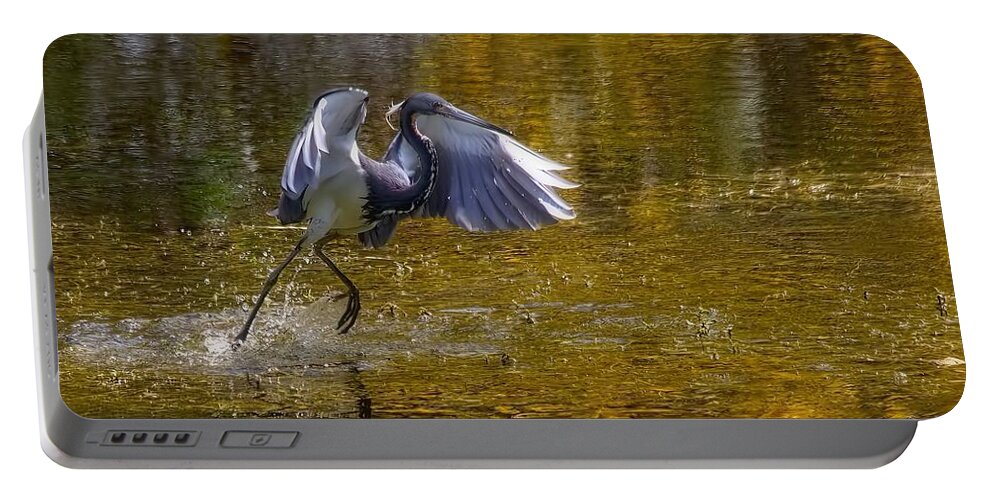 Tri-colored Heron Portable Battery Charger featuring the photograph Water Dancer I by Chrystyne Novack