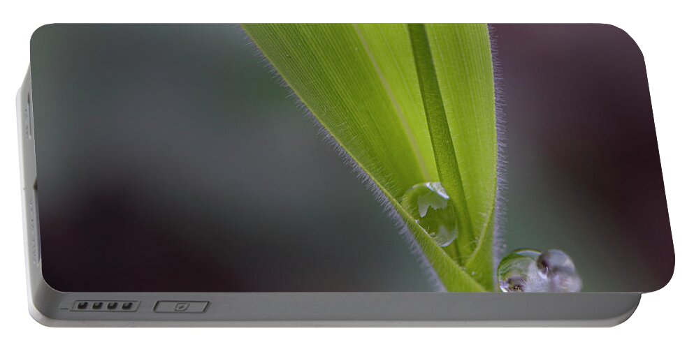 Water Portable Battery Charger featuring the photograph Water Drop On Grass by Karen Rispin